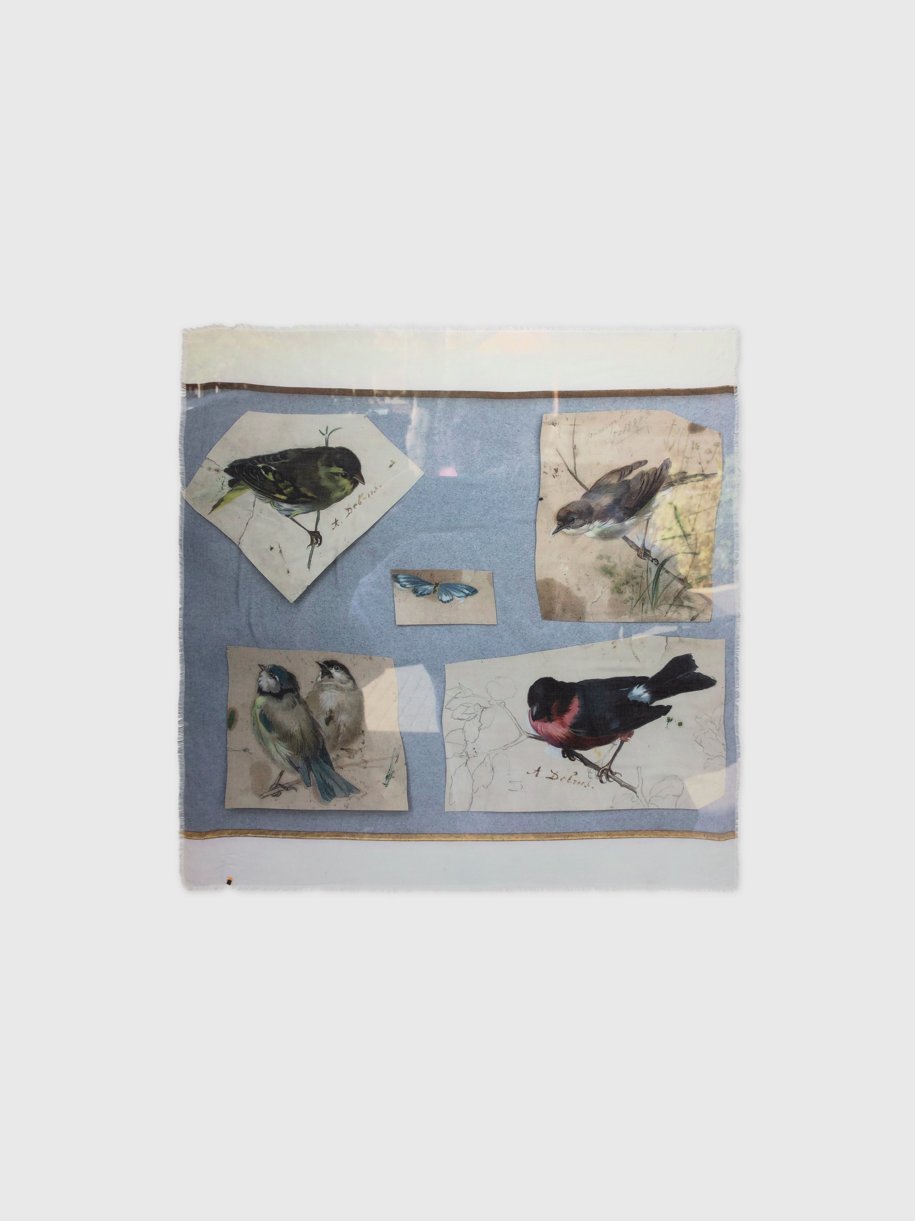 Talking Walls Ela Birdwatcher Single face square scarf birdwatcher