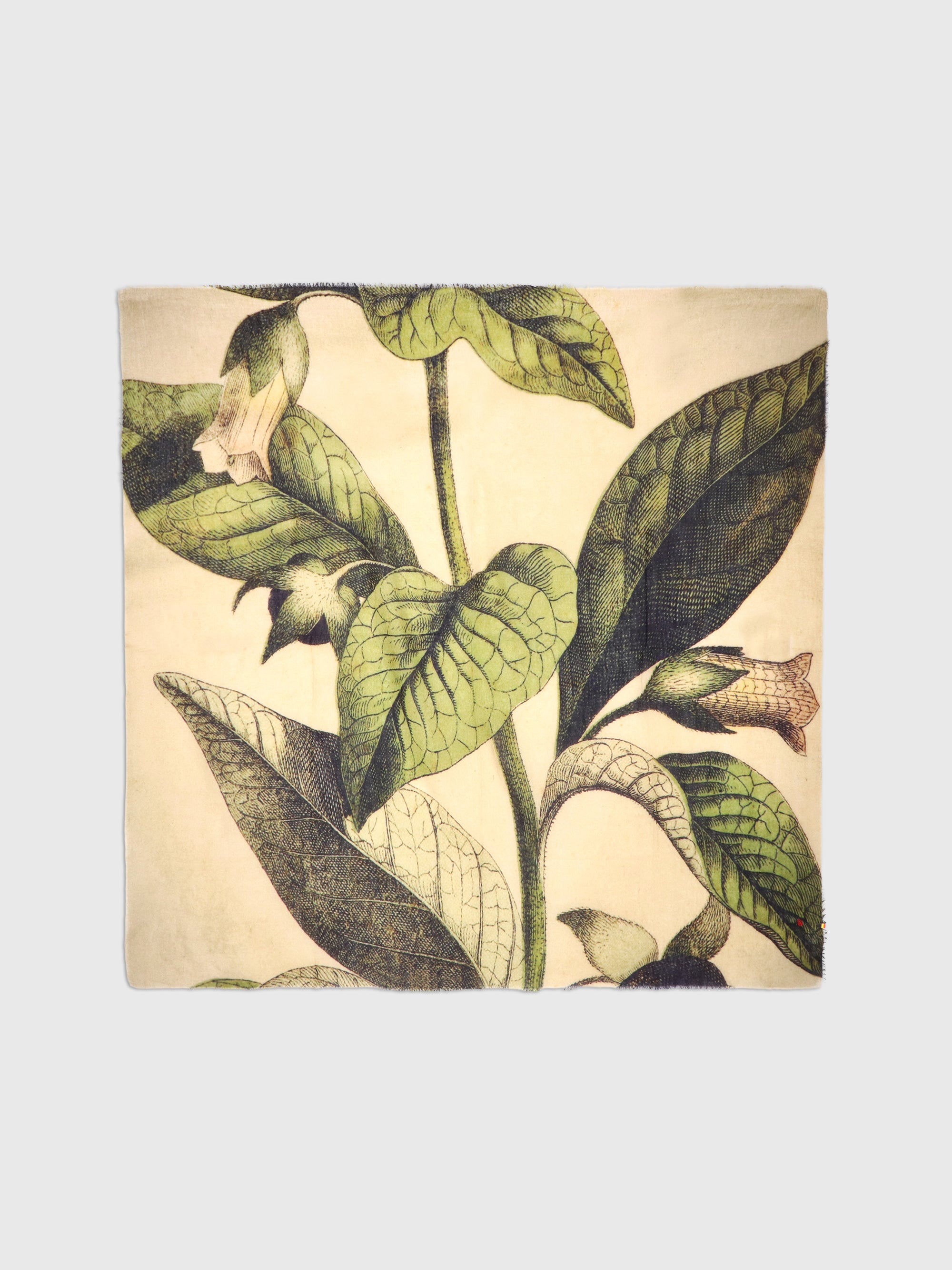 Talking Walls mantis single face Single faced square-shaped blanket scarf belladonna