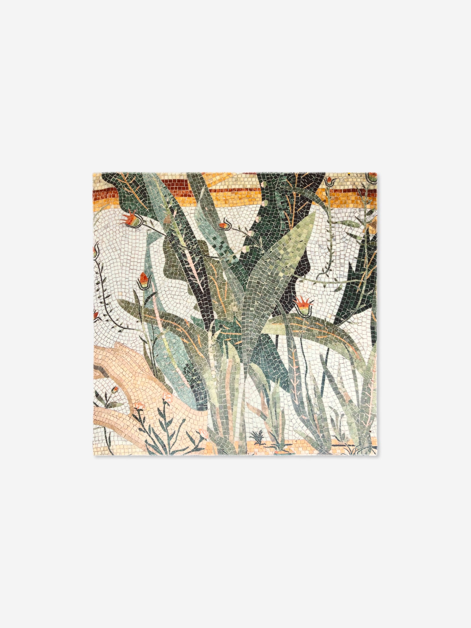 Talking Walls max agave single face square scarf agave