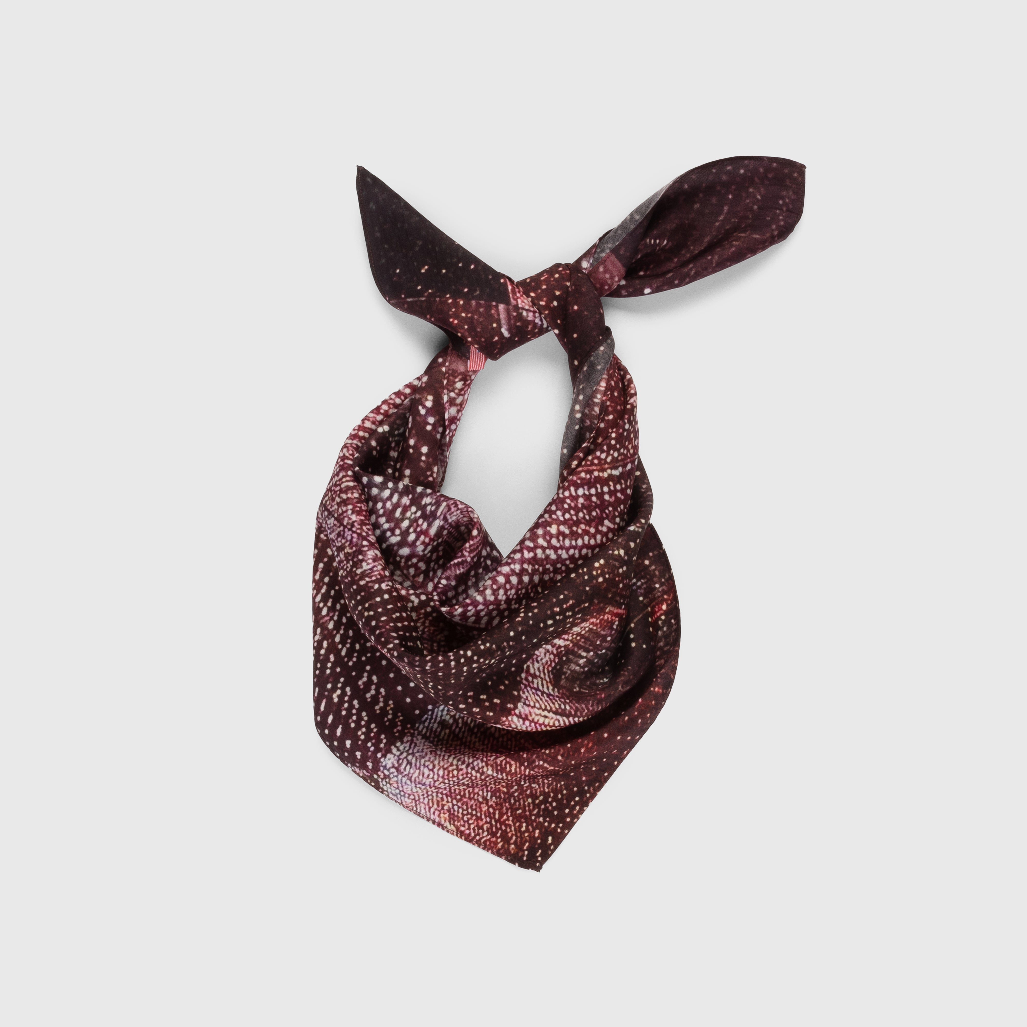 Talking Walls twiggy stardust Single face square-shaped scarf stardust